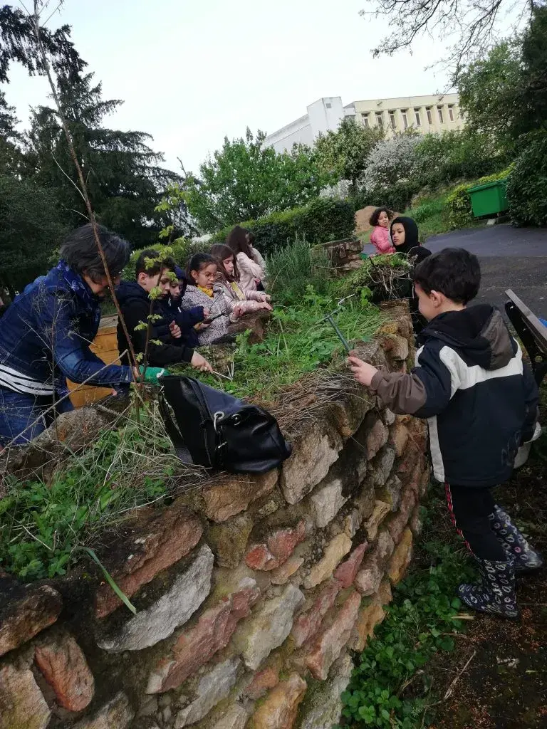 Atelier permaculture en extérieur avec les élèves