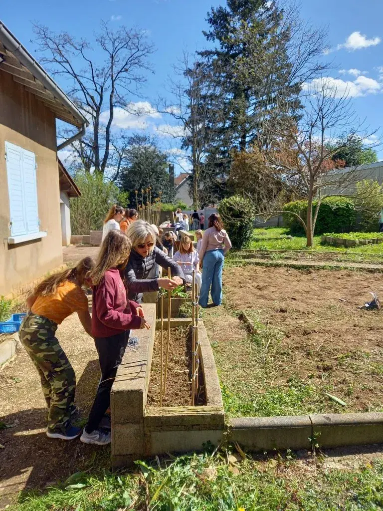 Création de structures pour le potager de l'école