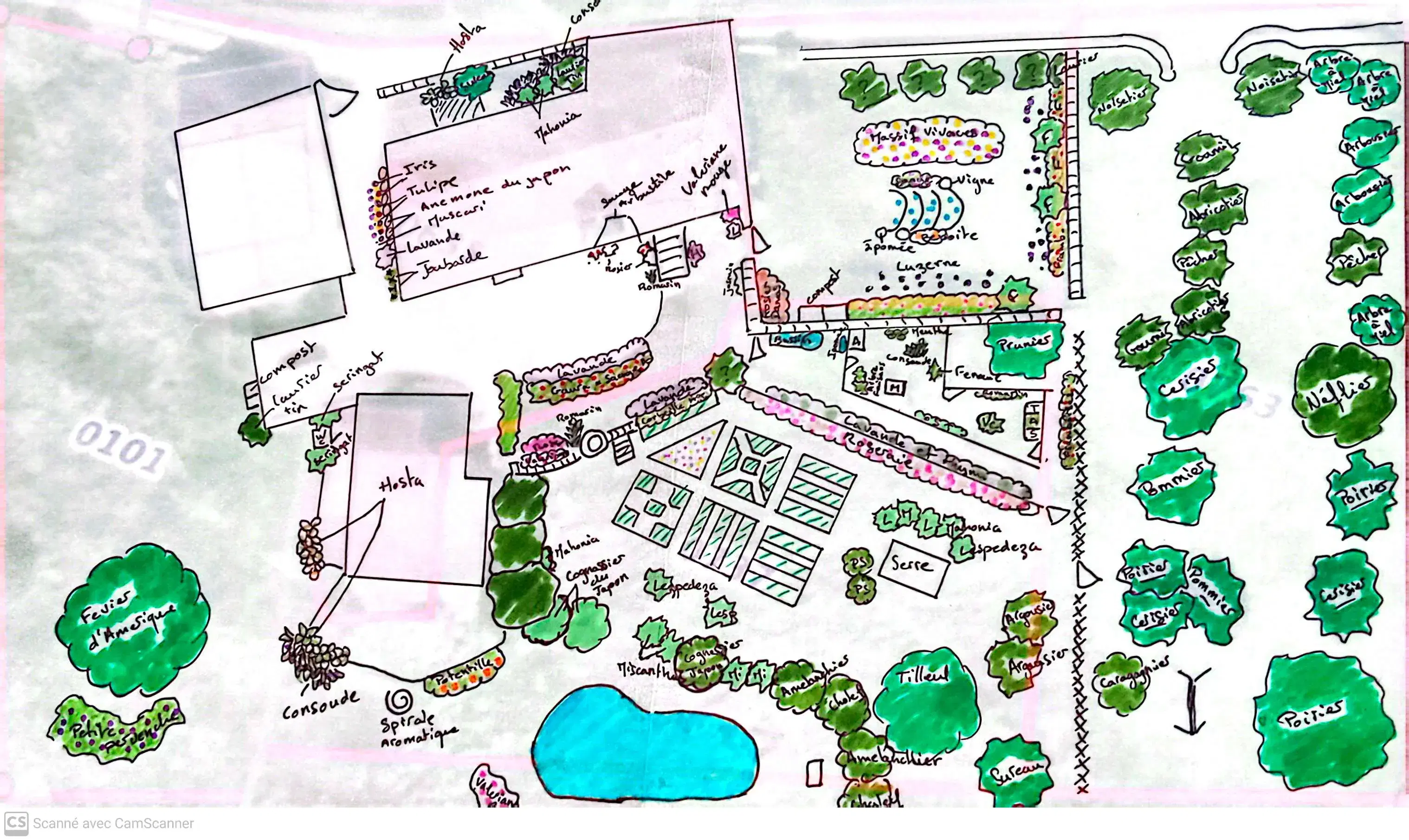 Plan d'aménagement d'un jardin en permaculture